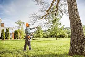 Leaf Removal in Hutchinson, MN